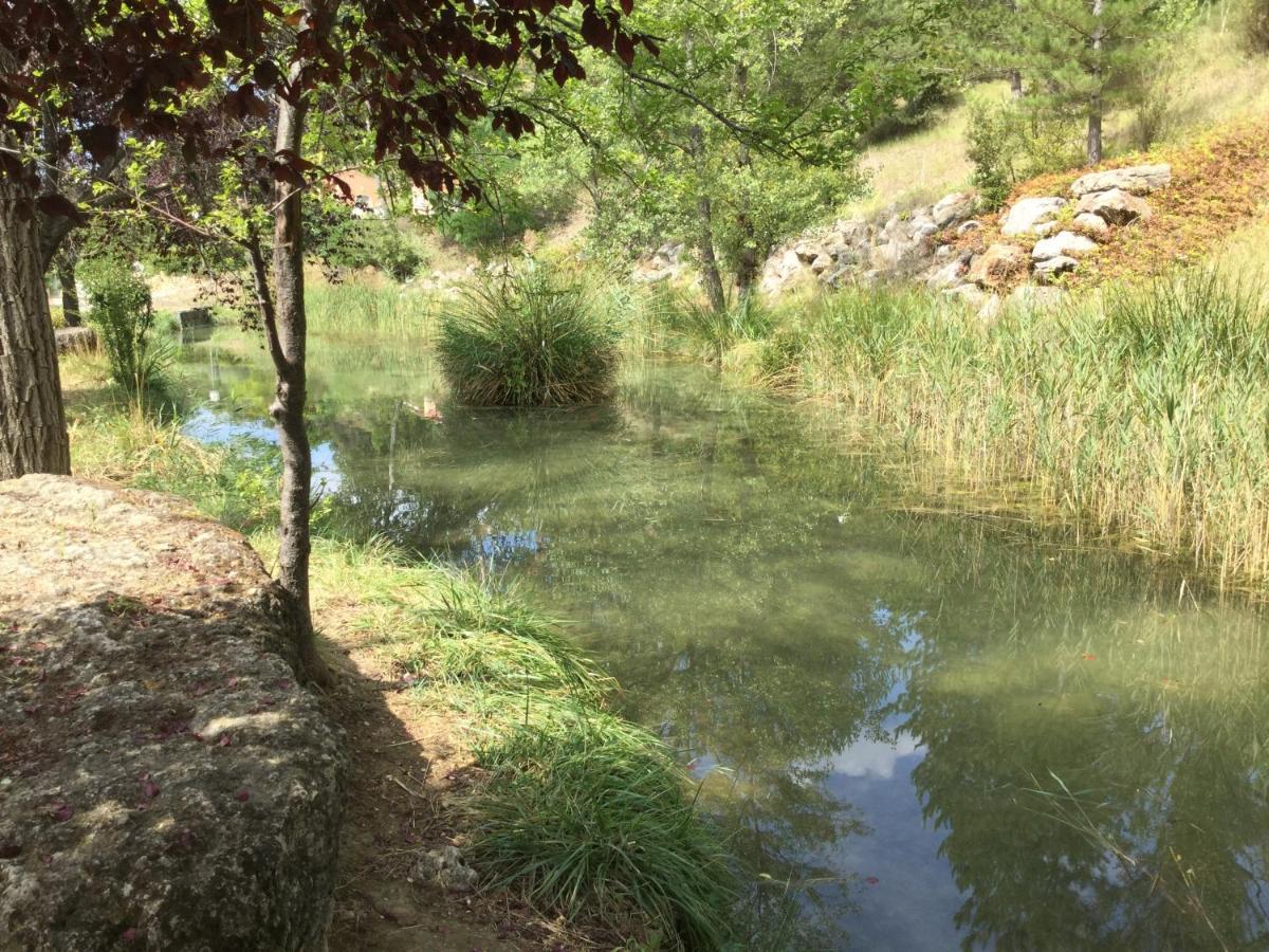 Mazet Tournesol Aux Portes Du Verdon Saint-Martin-de-Bromes Bagian luar foto
