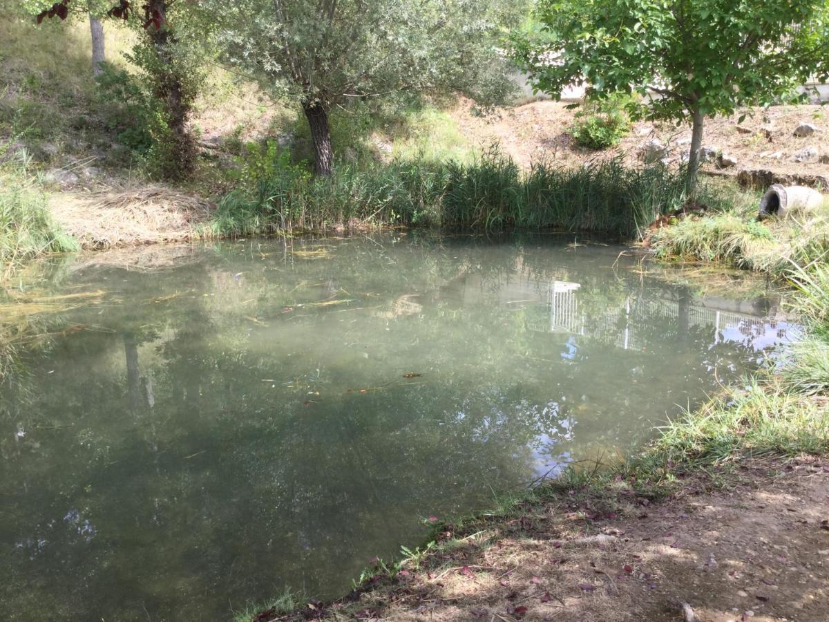 Mazet Tournesol Aux Portes Du Verdon Saint-Martin-de-Bromes Bagian luar foto